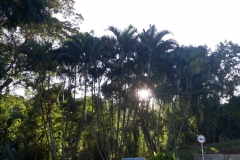 IMG-20190722-WA0053