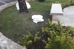 IMG-20190722-WA0056