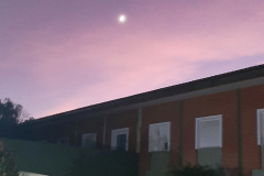 2024-dia-31-capitulo-geral-ibdp2